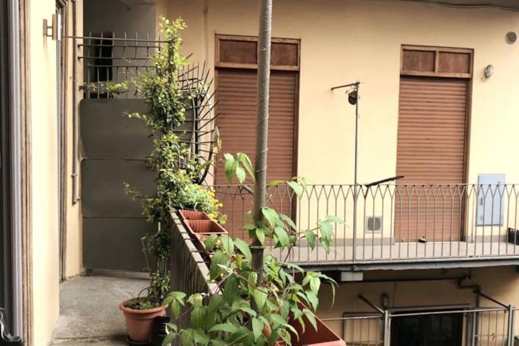 Belfiore17 Turin