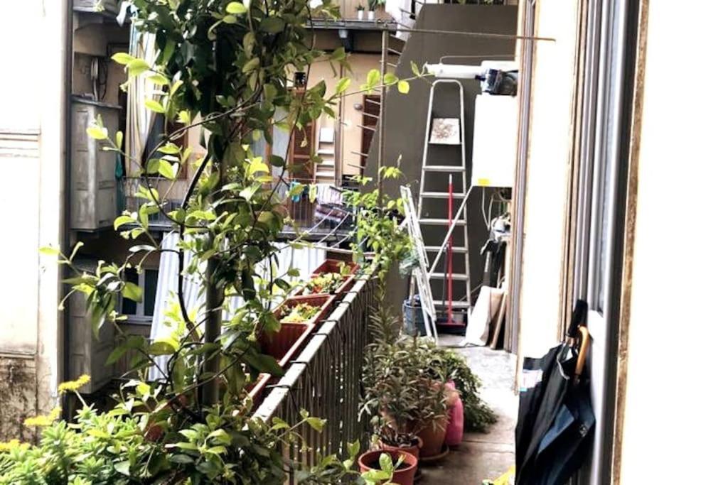 Appartement Belfiore17